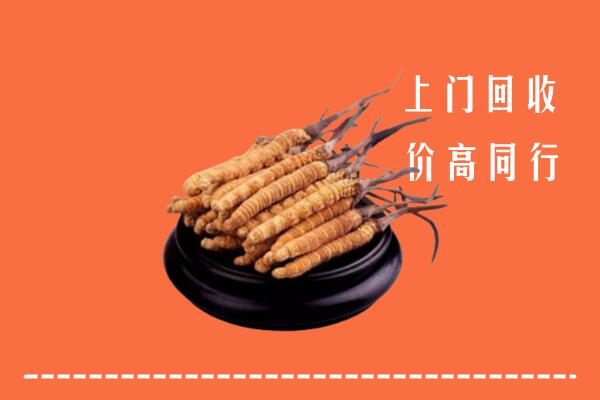 高价求购：寻乌县回收散虫草